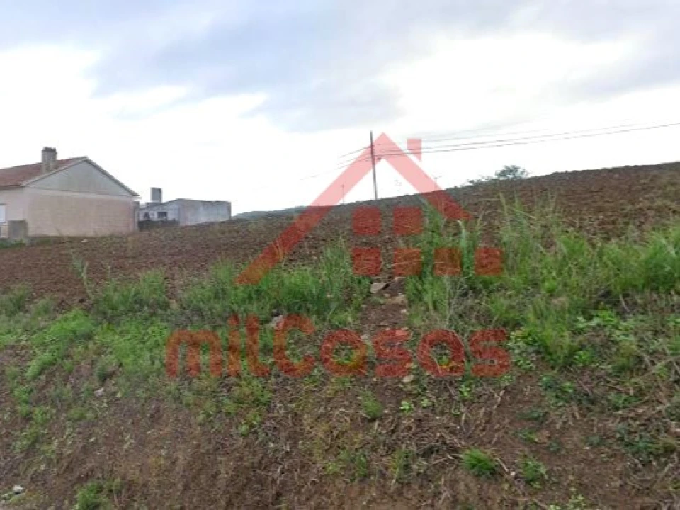 Terreno para Venda em Carvoeira e Carmões Foto 11