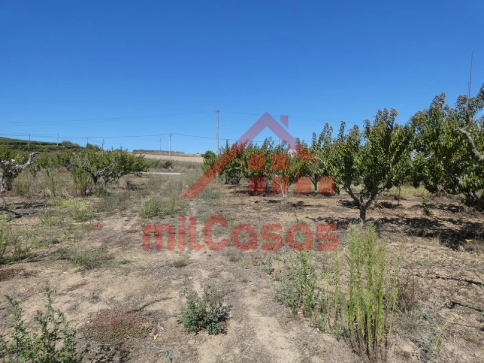 Terreno para Venda em Azueira e Sobral da Abelheira Foto 18