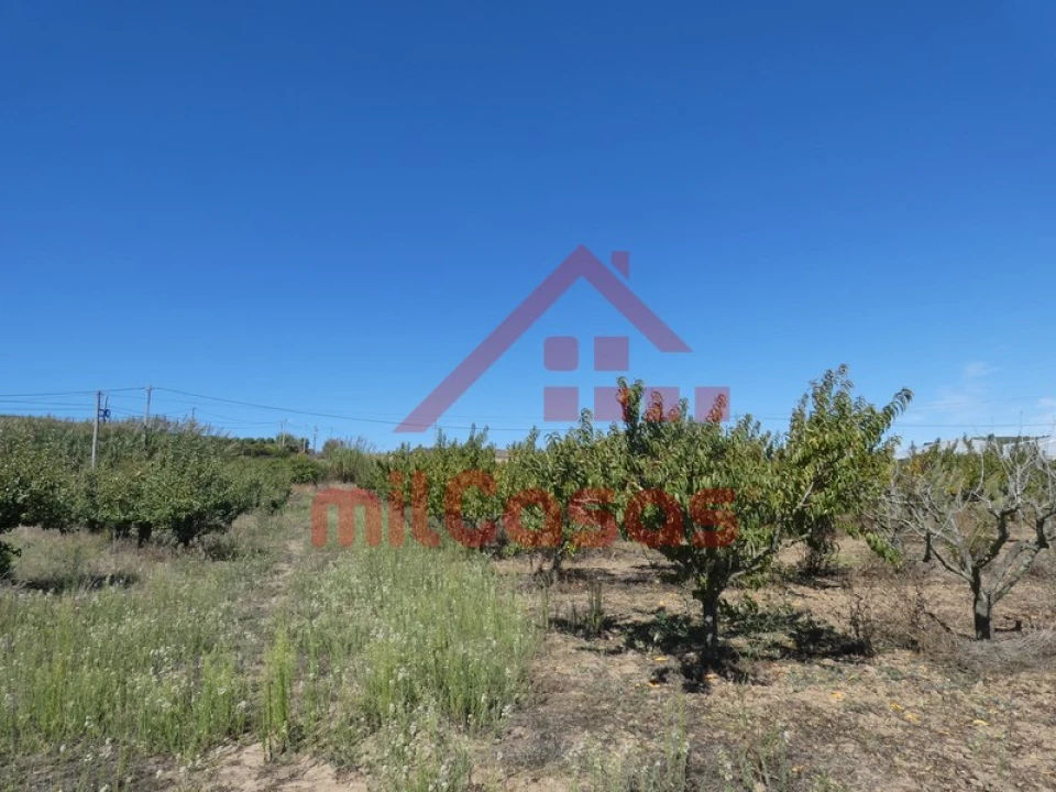 Terreno para Venda em Azueira e Sobral da Abelheira Foto 21
