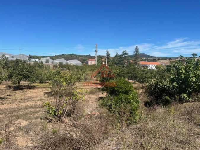 Terreno para Venda em Azueira e Sobral da Abelheira Foto 6
