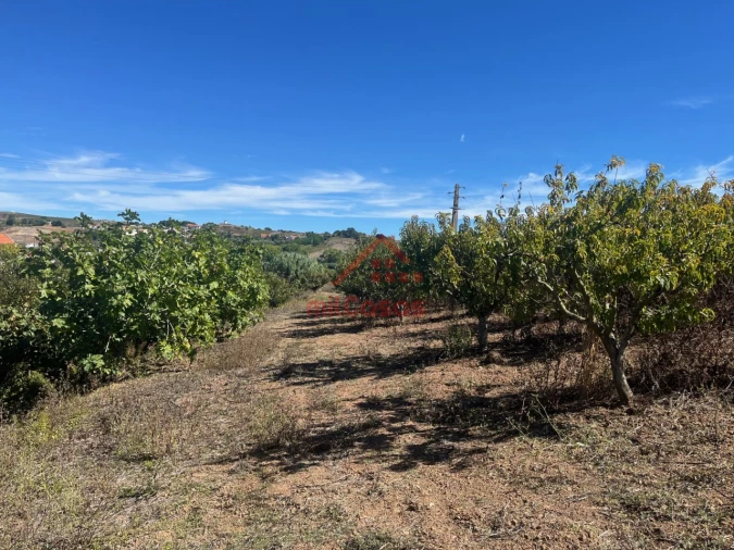 Terreno para Venda em Azueira e Sobral da Abelheira Foto 9