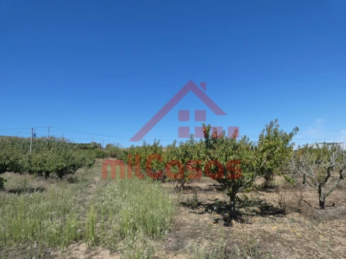 Terreno para Venda em Azueira e Sobral da Abelheira Foto 21