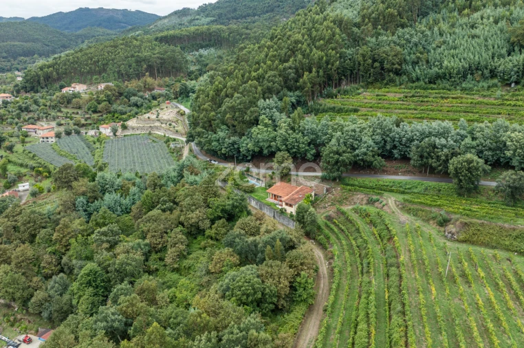 Moradia T3 para Venda em Amares e Figueiredo Foto 50