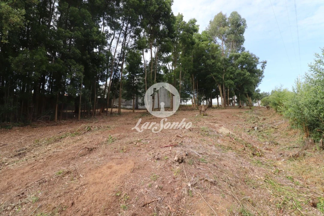 Terreno Agricola ou Rústico para Venda em Esmoriz Foto 11