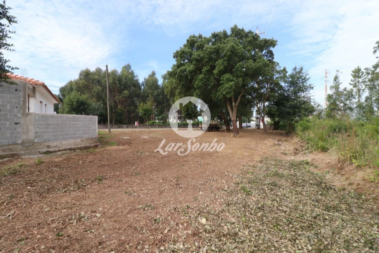 Terreno Agricola ou Rústico para Venda em Esmoriz Foto 4