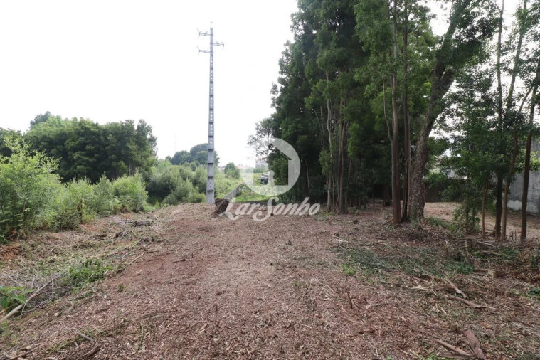 Terreno Agricola ou Rústico para Venda em Esmoriz Foto 14