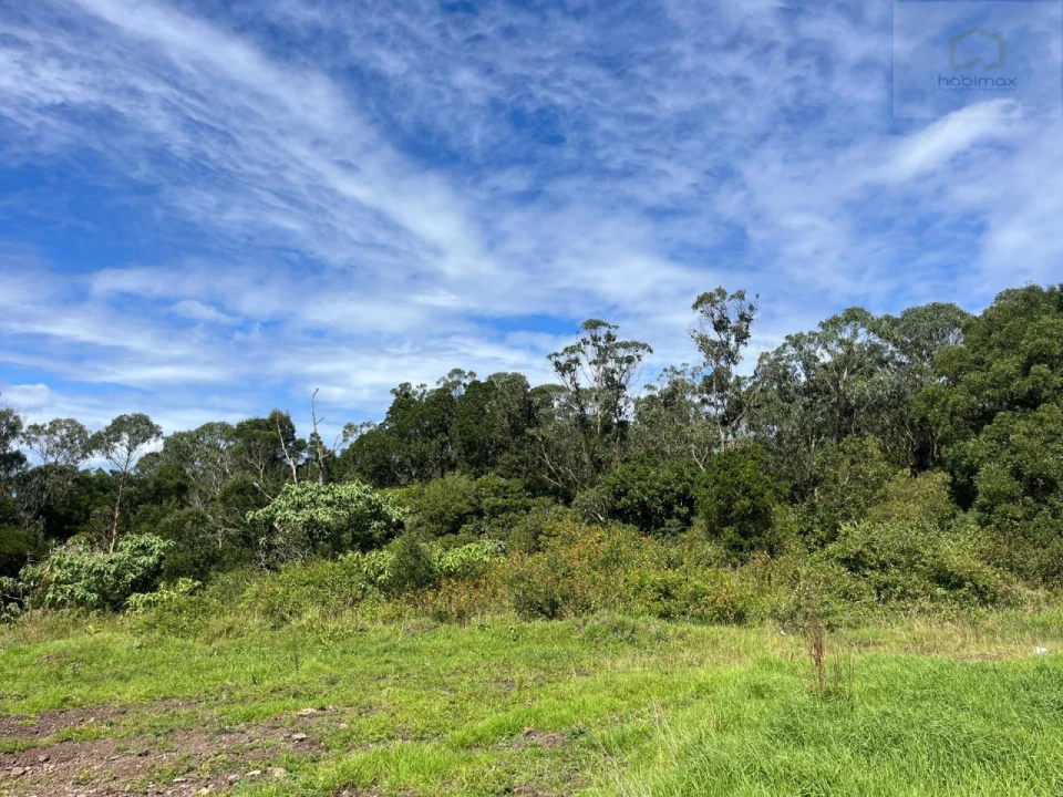 Terreno para Venda em Santa Barbara Foto 9