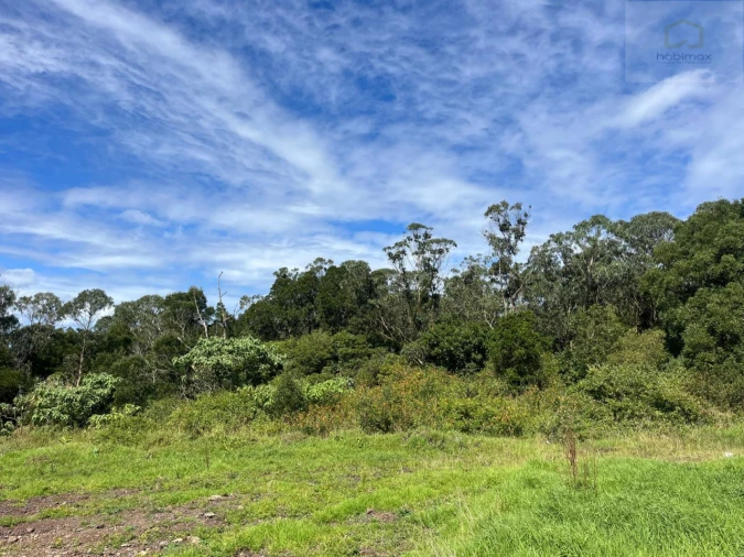 Terreno para Venda em Santa Barbara Foto 9