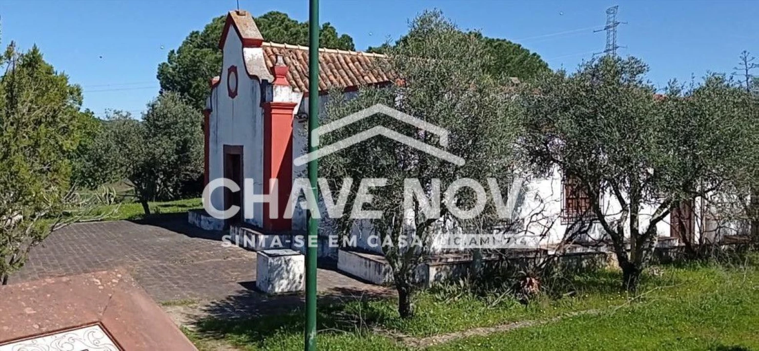 Terreno P/ Prédio para Venda em São Bartolomeu de Messines Foto 1