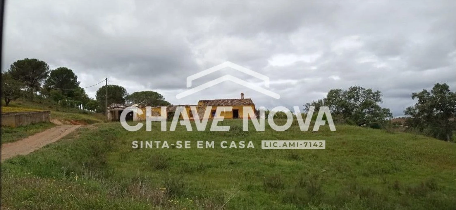 Terreno P/ Prédio para Venda em São Bartolomeu de Messines Foto 2