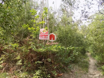 Terreno Agricola ou Rústico para Venda em Esmeriz e Cabeçudos