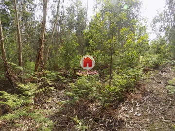 Terreno Agricola ou Rústico para Venda em Esmeriz e Cabeçudos