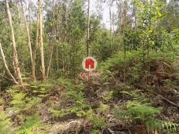 Terreno Agricola ou Rústico para Venda em Esmeriz e Cabeçudos
