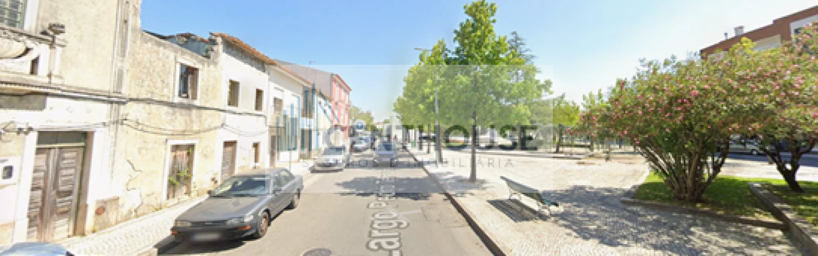 Terreno para Venda em Cantanhede e Pocariça Foto 1