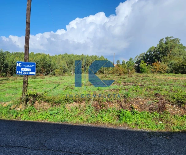 Terreno para Venda em Águeda e Borralha Foto 4