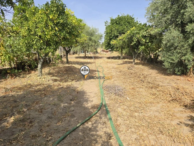 Moradia T4 para Venda em Escalos de Cima e Lousa Foto 25