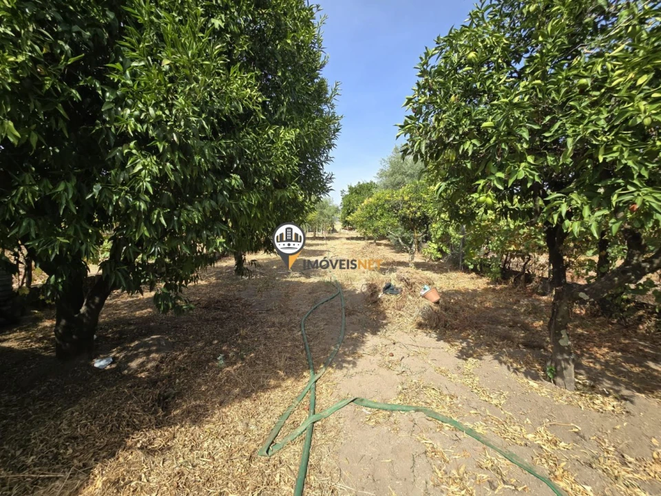 Moradia T4 para Venda em Escalos de Cima e Lousa Foto 6