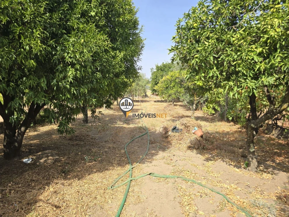 Moradia T4 para Venda em Escalos de Cima e Lousa Foto 20