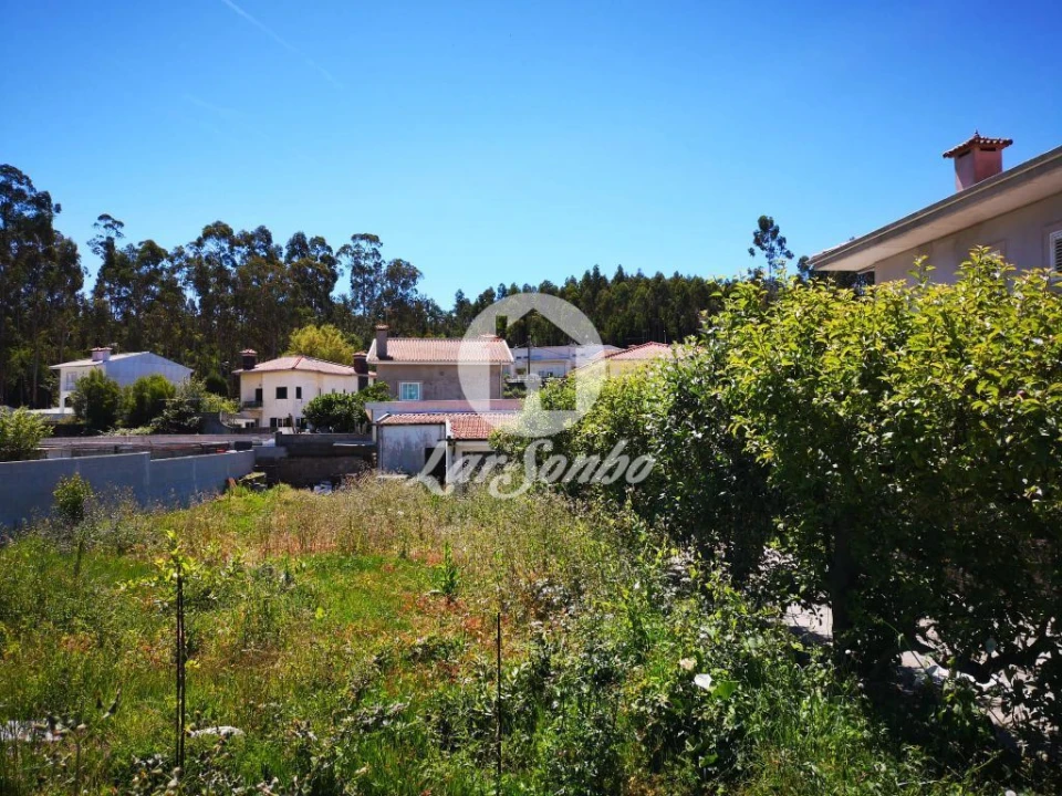 Terreno para Venda em Malta e Canidelo Foto 6