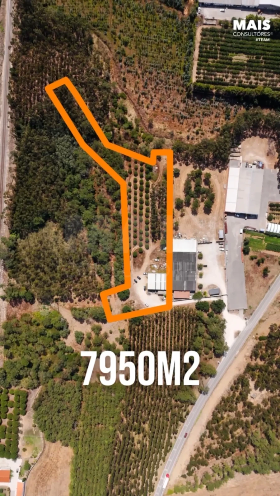 Terreno para Venda em Famalicão Foto 1