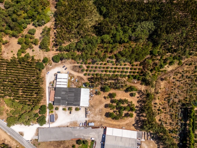 Terreno para Venda em Famalicão Foto 2