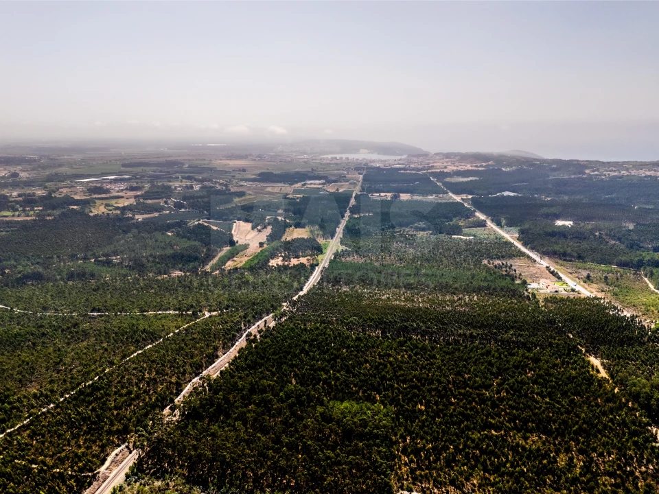 Terreno para Venda em Famalicão Foto 3