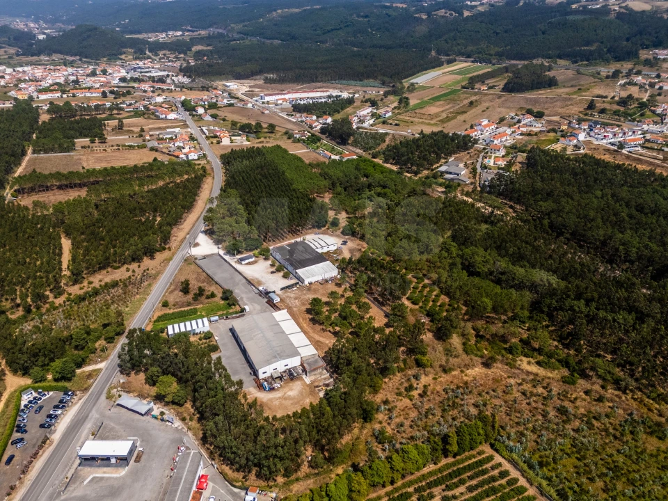 Terreno para Venda em Famalicão Foto 8