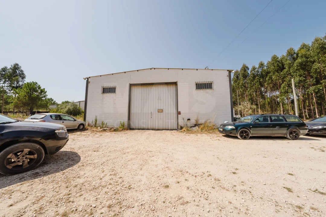 Terreno para Venda em Famalicão Foto 7