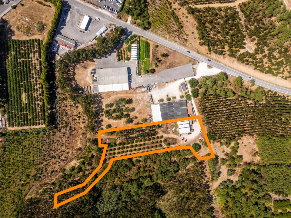 Terreno para Venda em Famalicão Foto 12