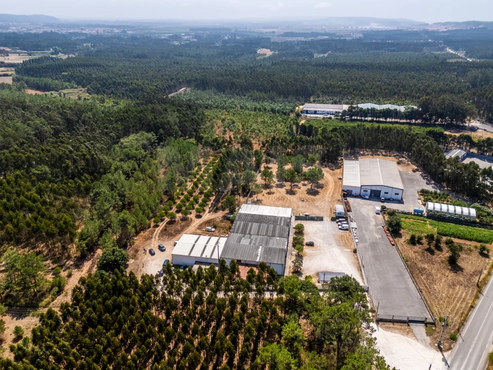Terreno para Venda em Famalicão Foto 11