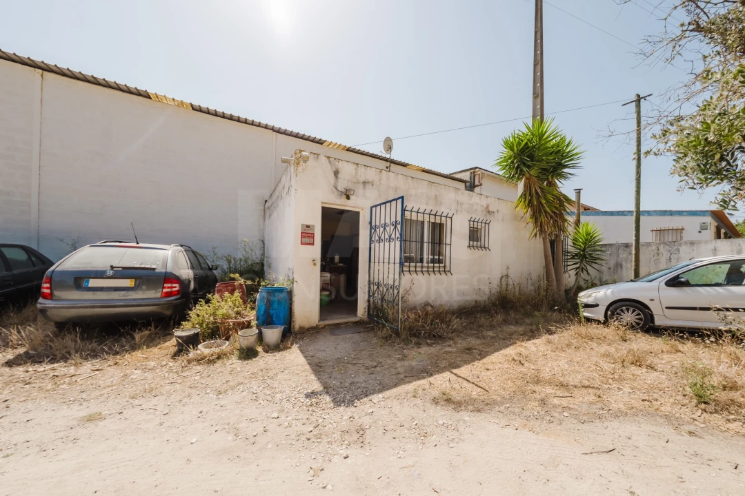Terreno para Venda em Famalicão Foto 10
