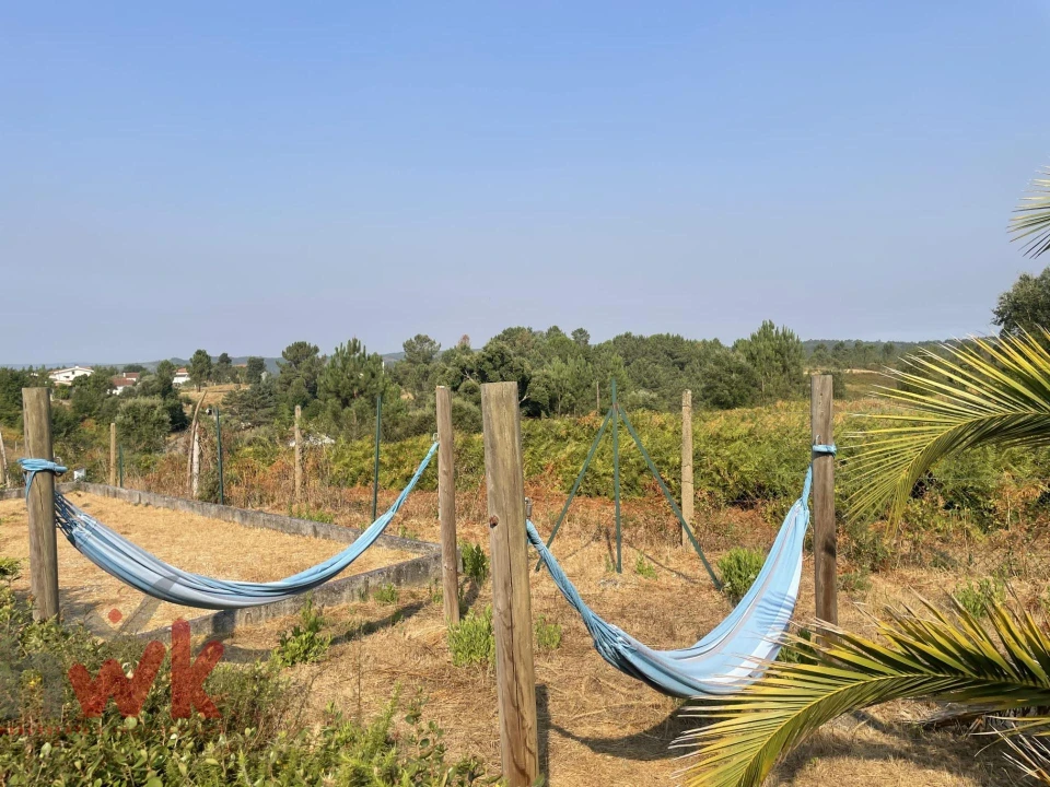 Moradia T6 para Venda em Côja e Barril de Alva Foto 49