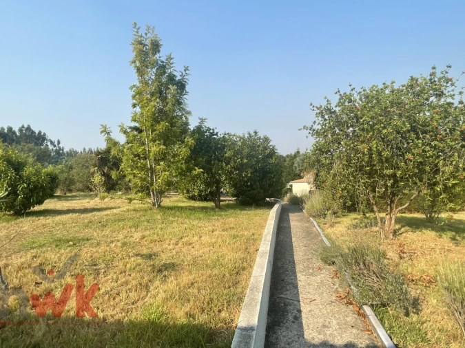 Moradia T6 para Venda em Côja e Barril de Alva Foto 33