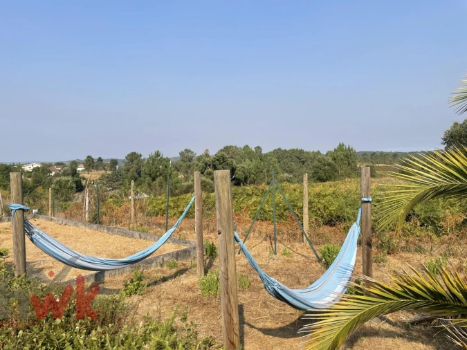 Moradia T6 para Venda em Côja e Barril de Alva Foto 49