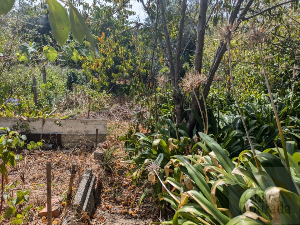 Moradia T3 para Venda em Santo Antonio dos Olivais Foto 18