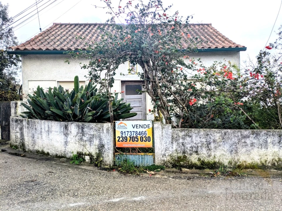 Moradia T3 para Venda em Santo Antonio dos Olivais Foto 1