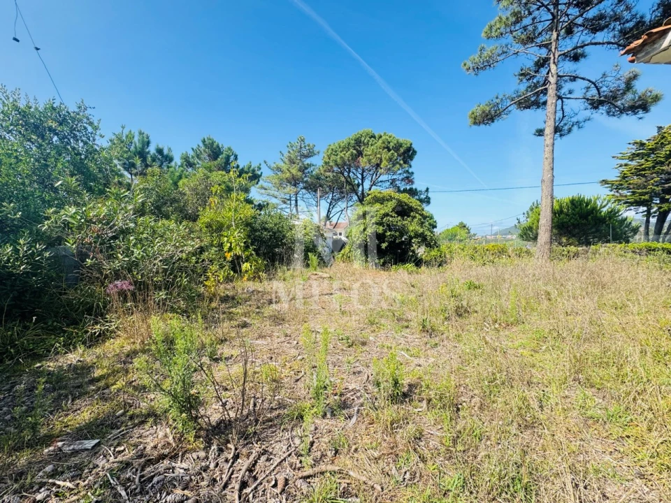 Moradia T3 para Venda em Antas Foto 14