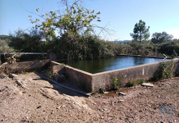 Moradia T3 para Venda em São Salvador da Aramenha Foto 5
