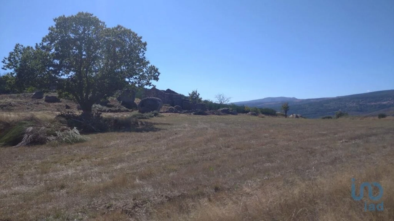 Moradia para Venda em Jarmelo São Miguel Foto 5