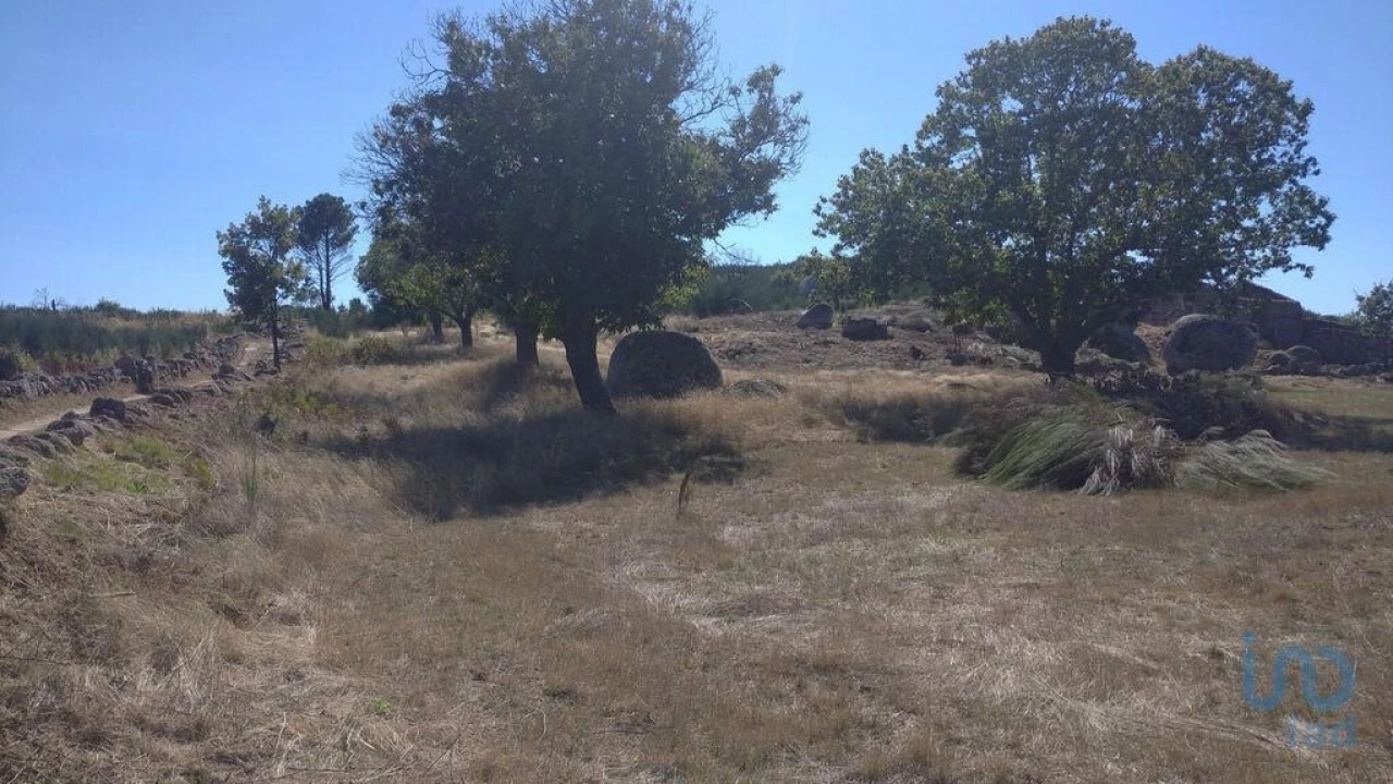 Moradia para Venda em Jarmelo São Miguel Foto 13