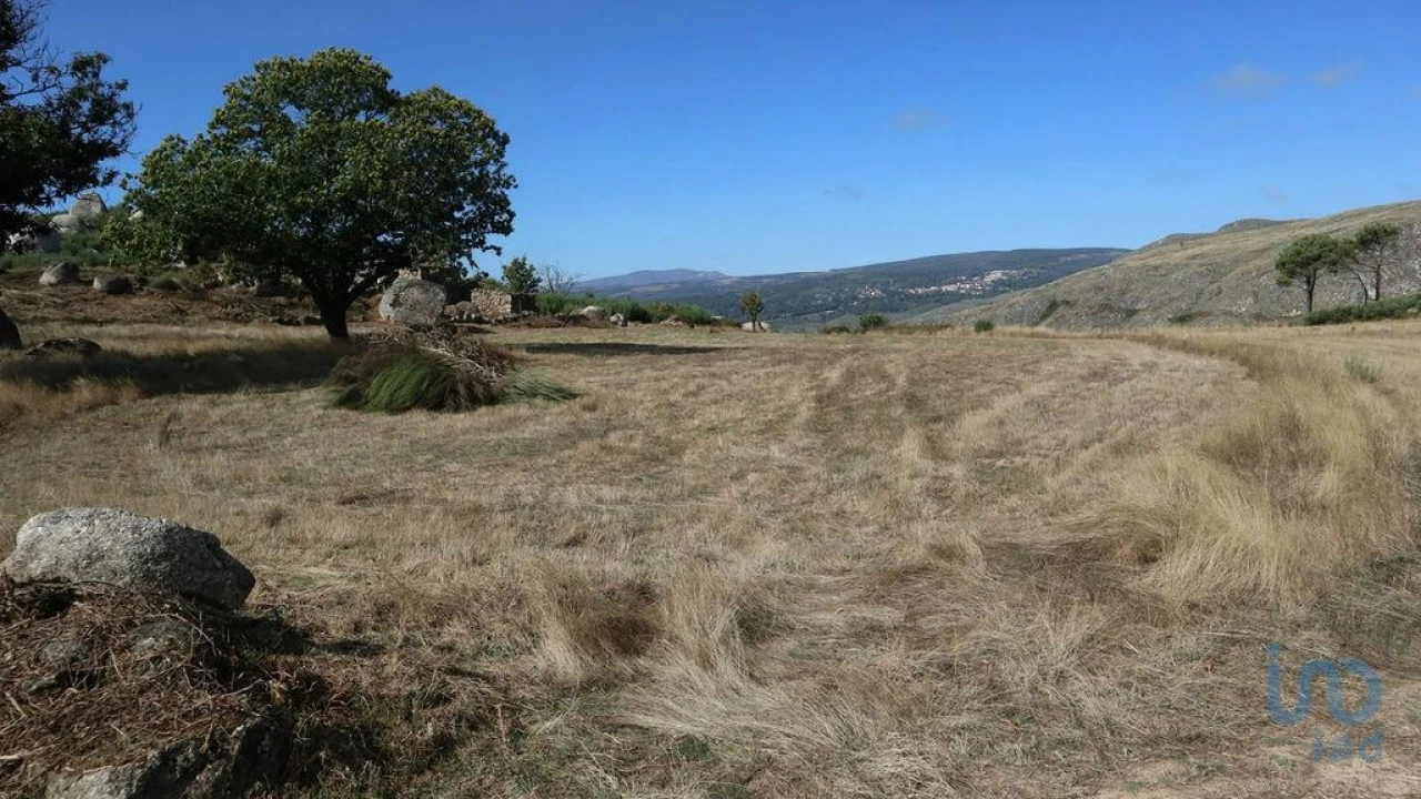 Moradia para Venda em Jarmelo São Miguel Foto 6