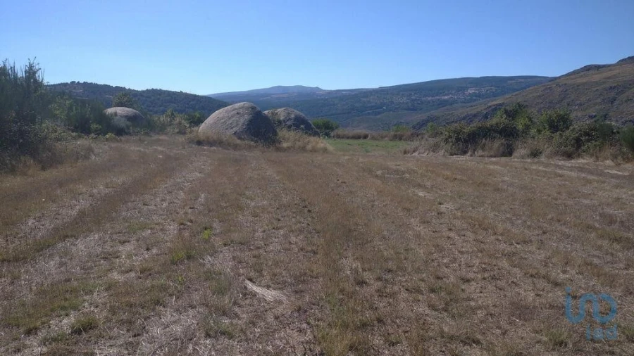 Moradia para Venda em Jarmelo São Miguel Foto 15