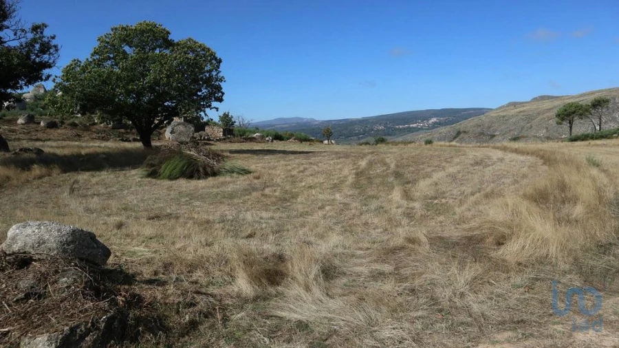 Moradia para Venda em Jarmelo São Miguel Foto 6