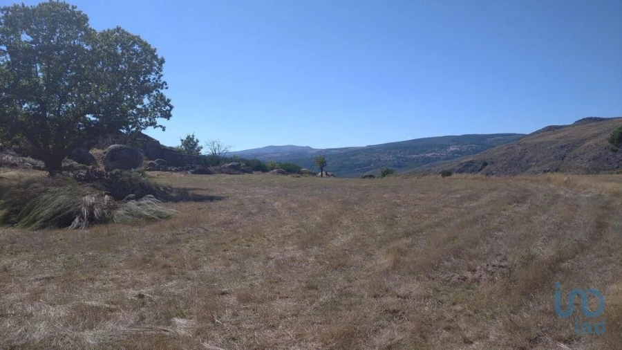 Moradia para Venda em Jarmelo São Miguel Foto 12