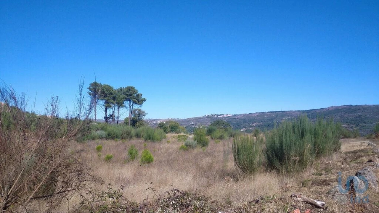 Moradia para Venda em Jarmelo São Miguel Foto 14