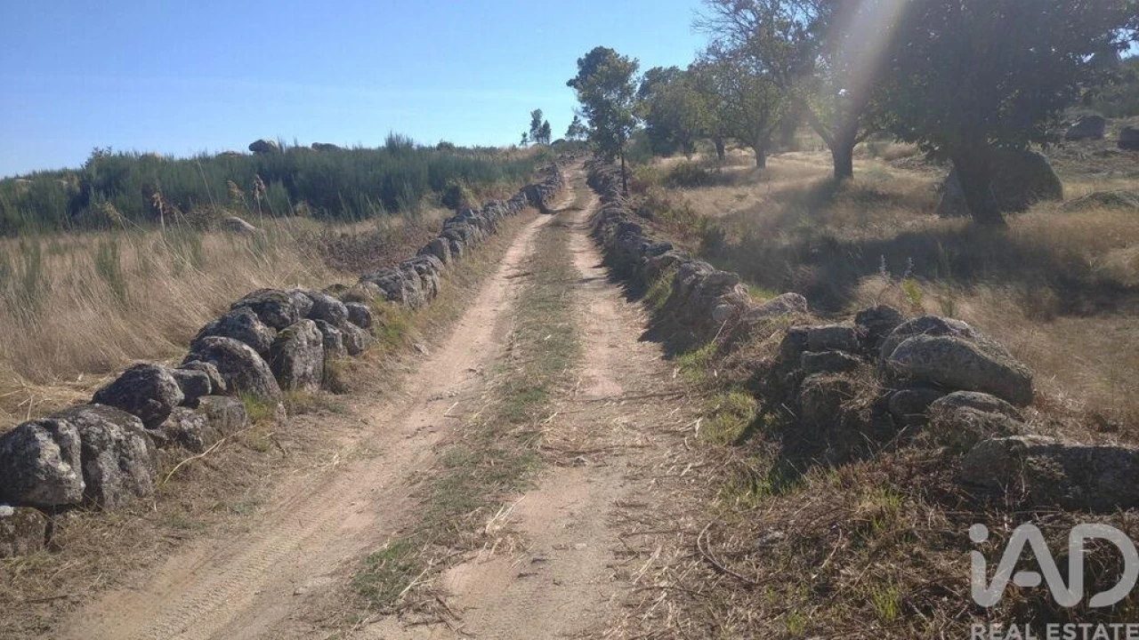 Moradia para Venda em Jarmelo São Miguel Foto 23