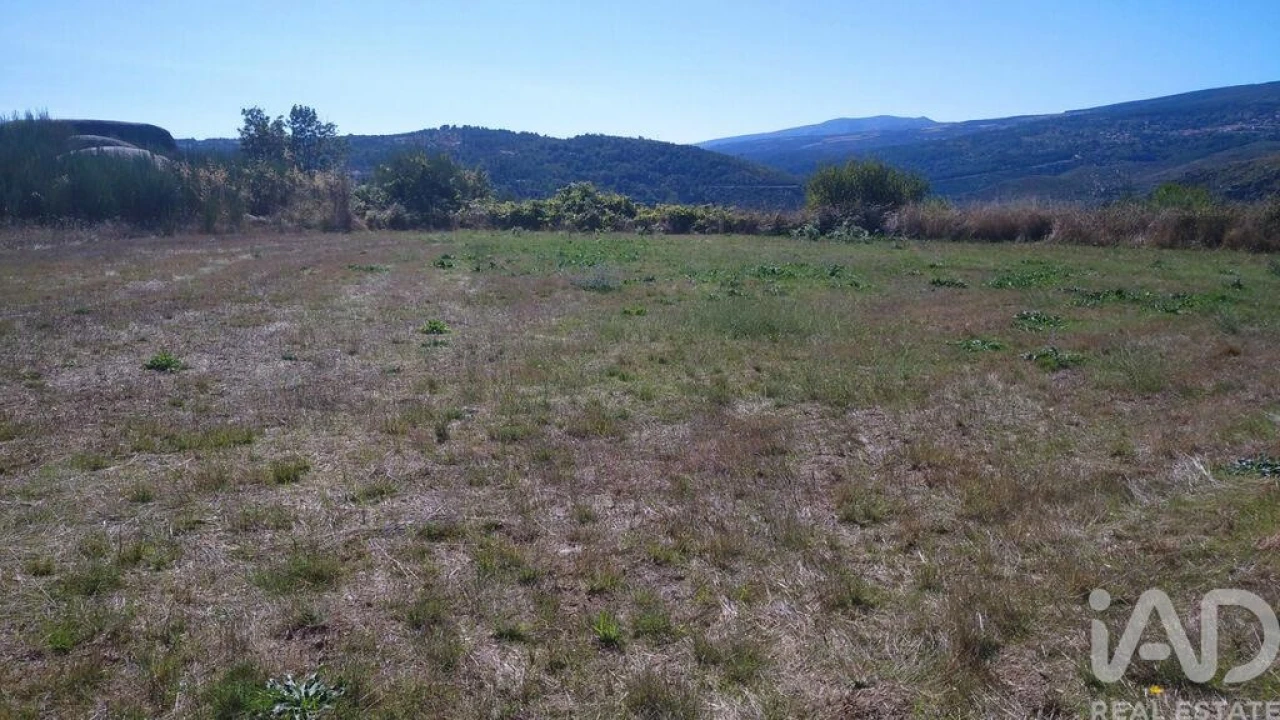 Moradia para Venda em Jarmelo São Miguel Foto 18