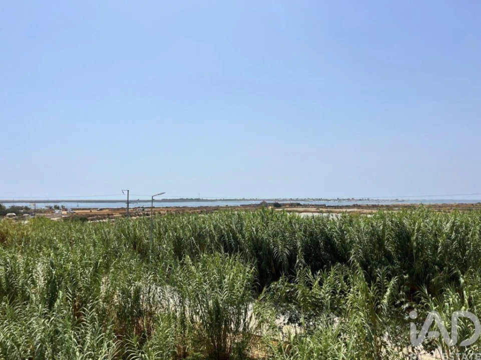 Moradia T3 para Venda em Moncarapacho e Fuseta Foto 20