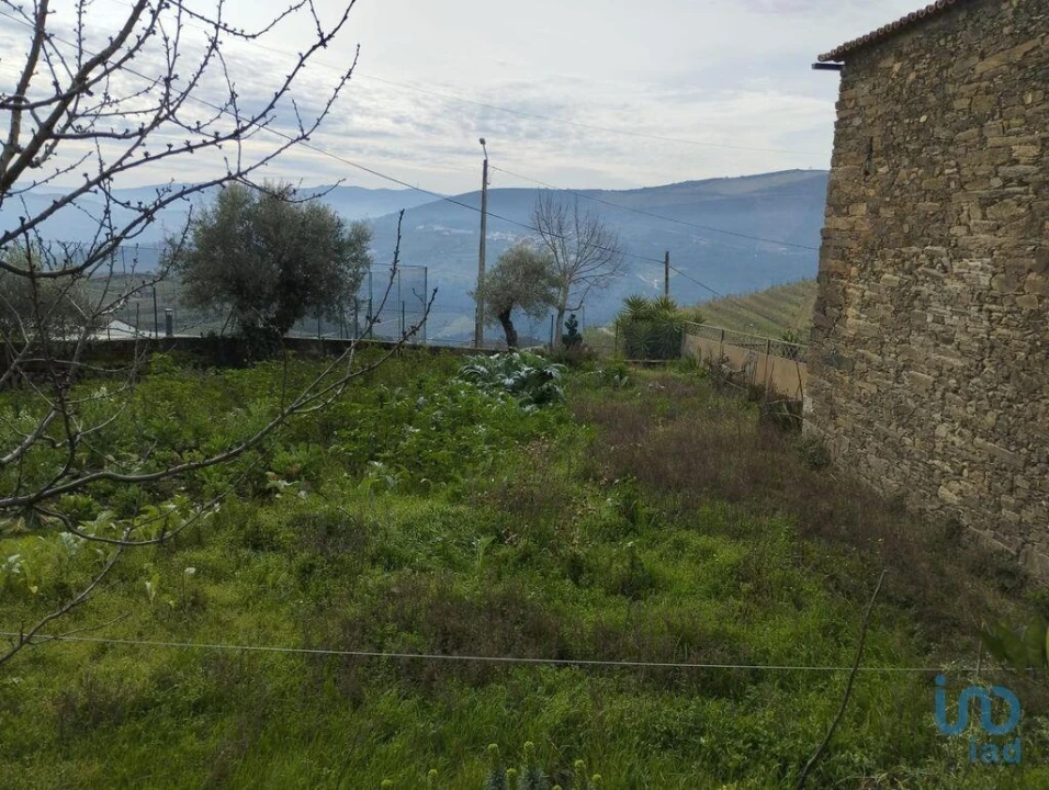 Prédio para Venda em Provesende, Gouvães Douro, São Cristóvão Douro Foto 11
