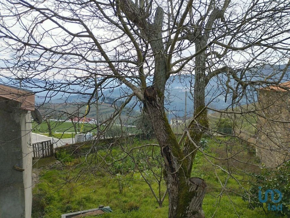 Prédio para Venda em Provesende, Gouvães Douro, São Cristóvão Douro Foto 8